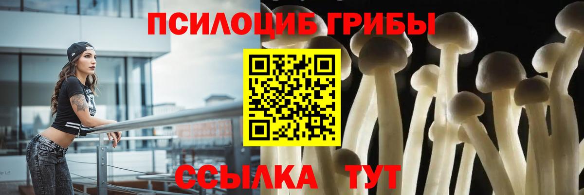 Ленинск-Кузнецкий  Псилоцибиновые грибы Psilocybe  Вход с VPN  Галлюциногенные грибы мухоморы 